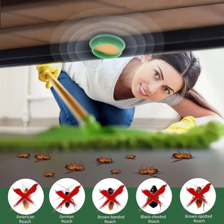 Cockroach Killer Gel (Buy 1 Pack Get 1 Pack Free)